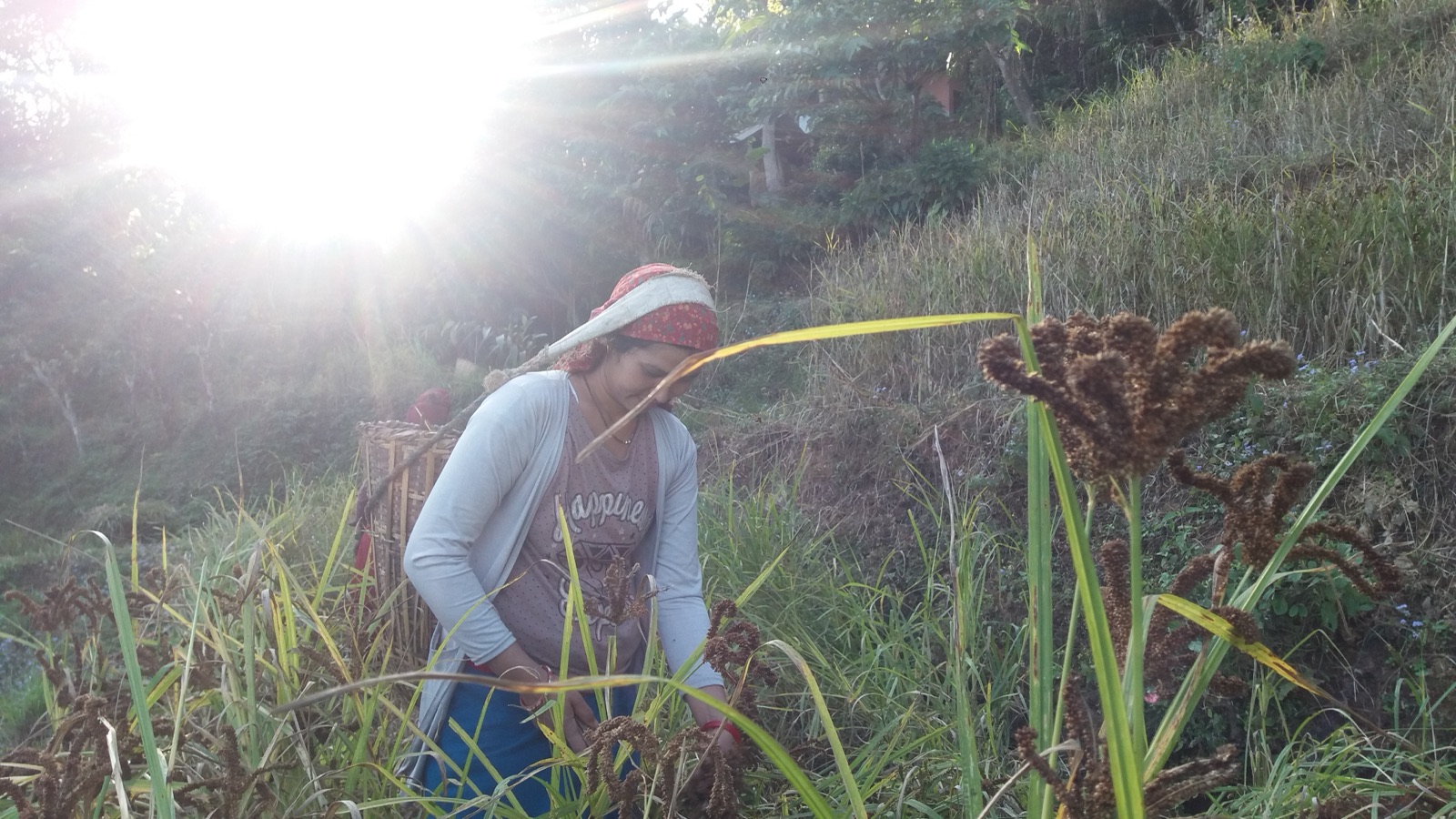 A farmer handling harvested produce